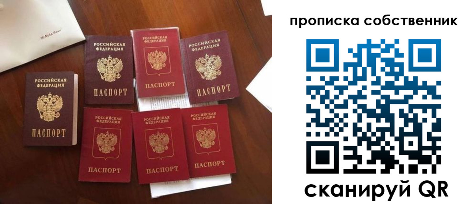 прописка для школы в Курской области